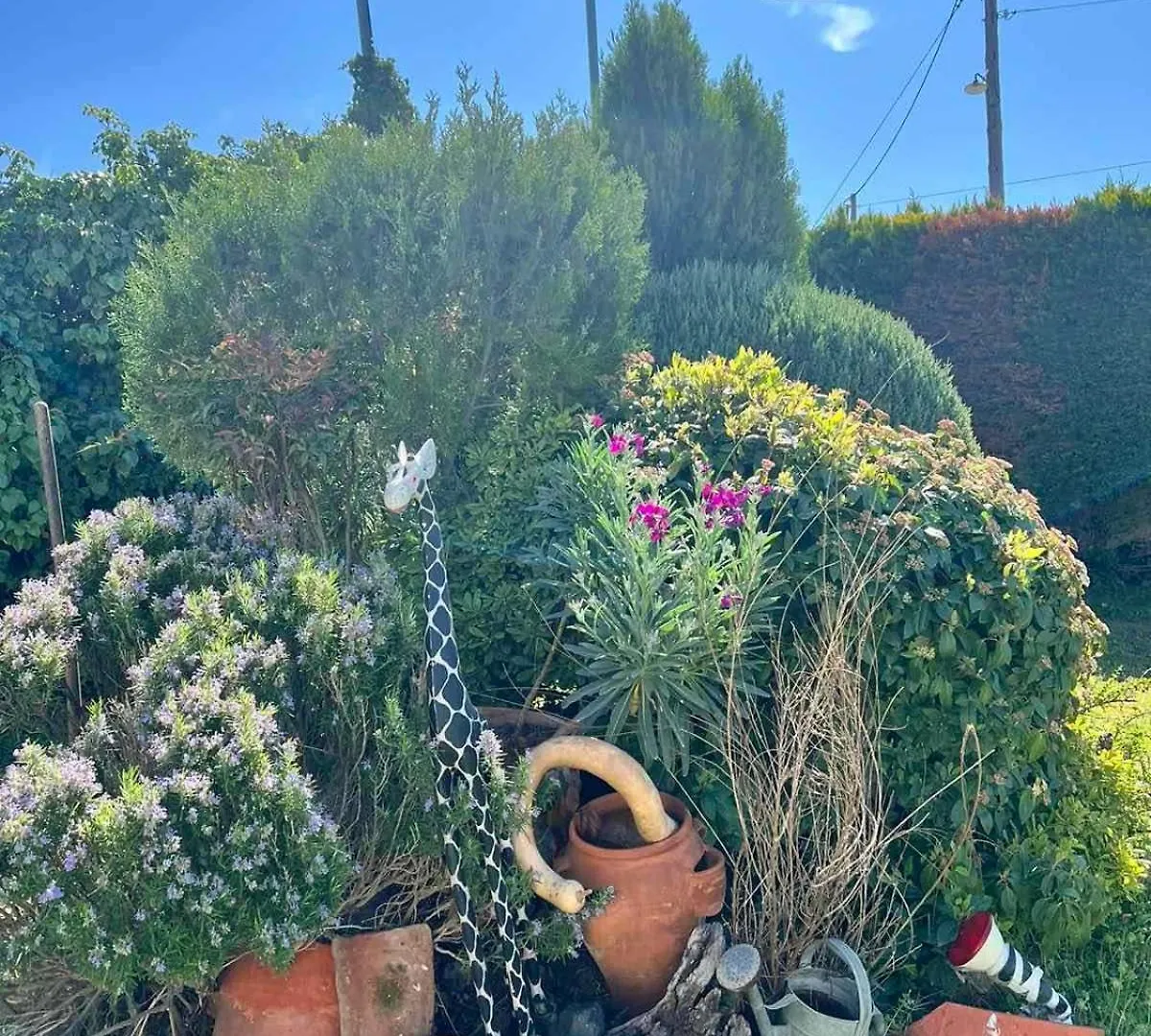 Dimis Garden Villa Nea Michaniona Grecja