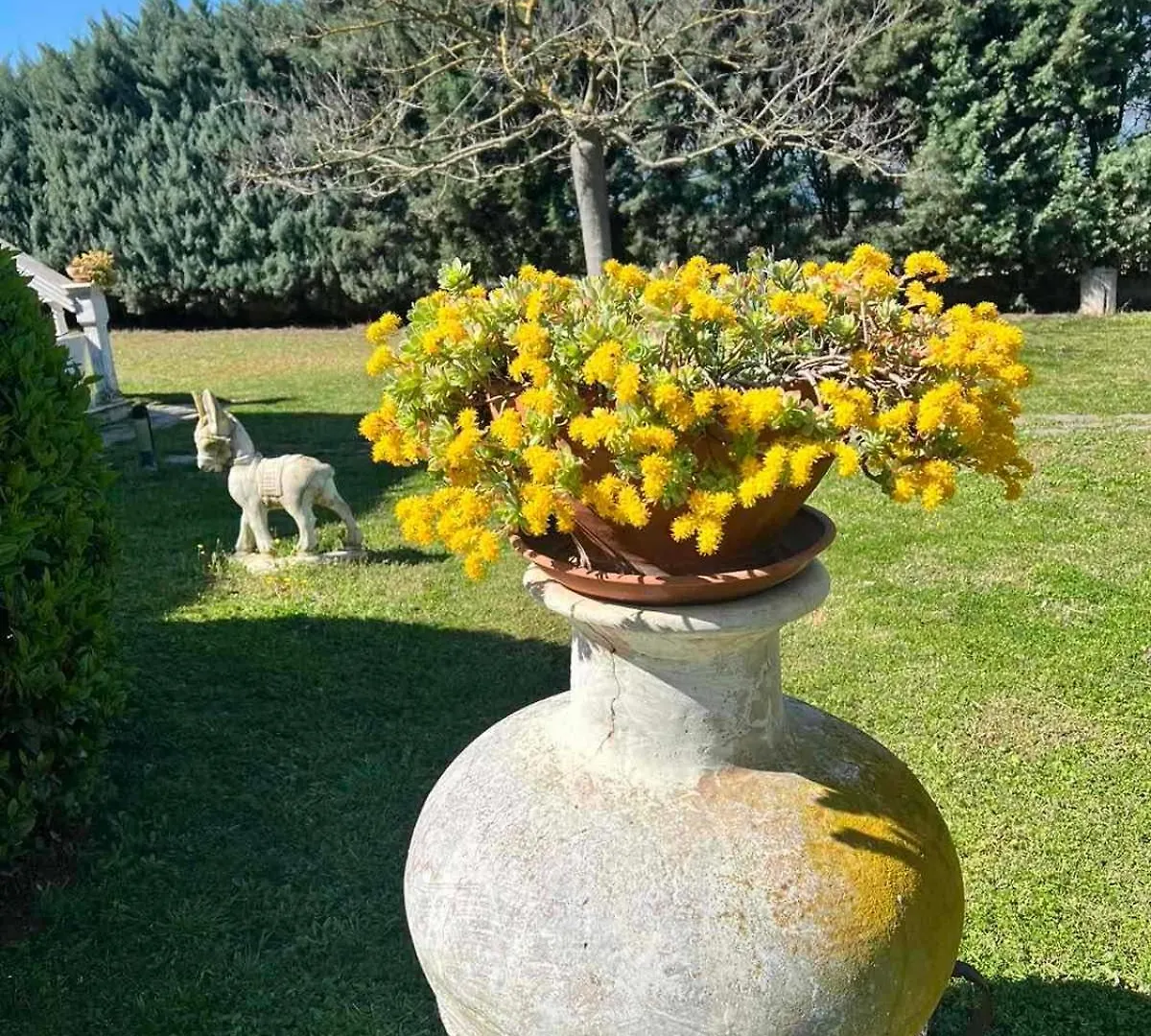 Dimis Garden Villa Nea Michaniona Dom wakacyjny
